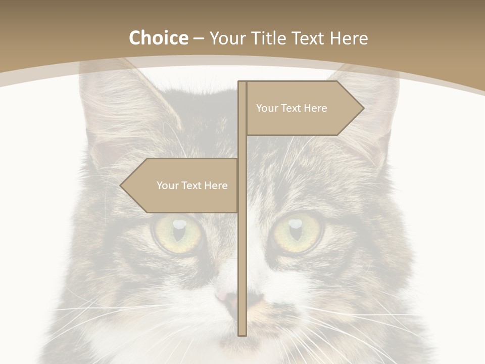 Predator Kitty Baby PowerPoint Template