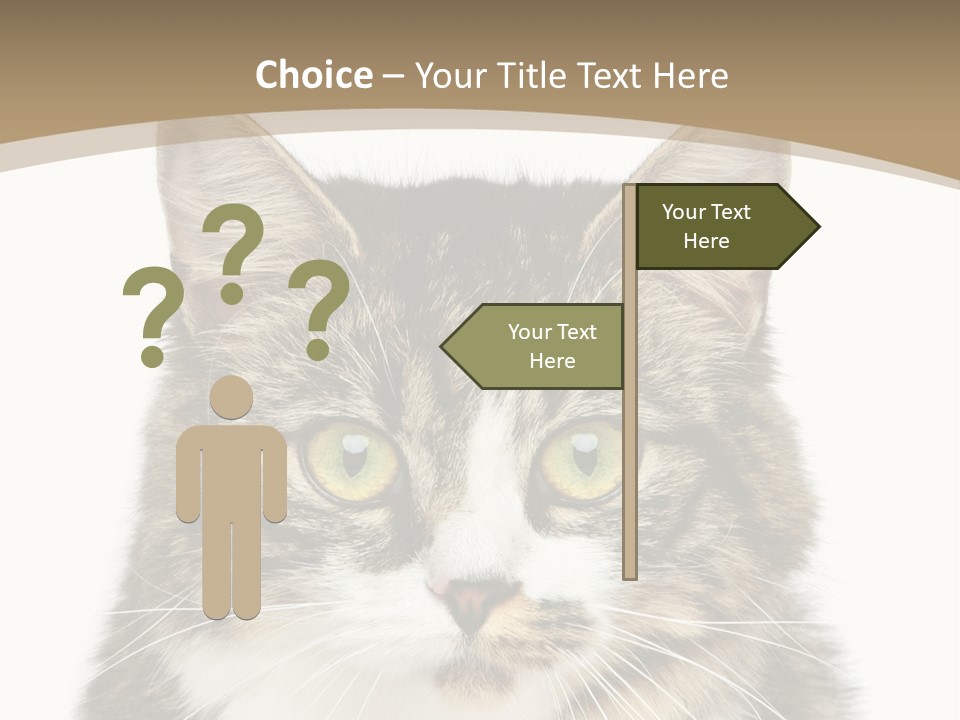 Predator Kitty Baby PowerPoint Template