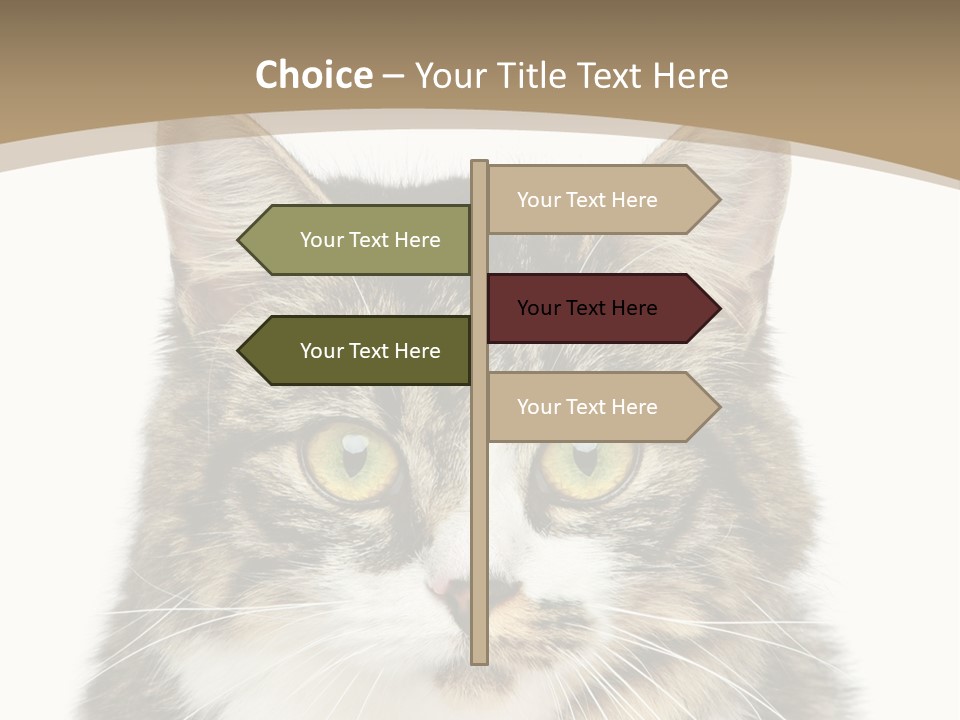 Predator Kitty Baby PowerPoint Template