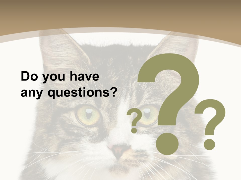 Predator Kitty Baby PowerPoint Template