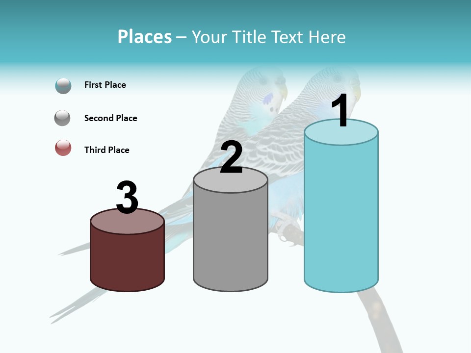 Wildlife Funny Zoo PowerPoint Template