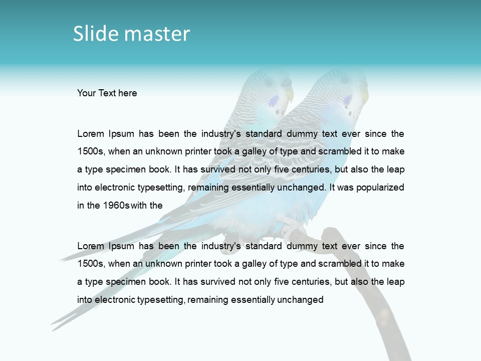 Wildlife Funny Zoo PowerPoint Template