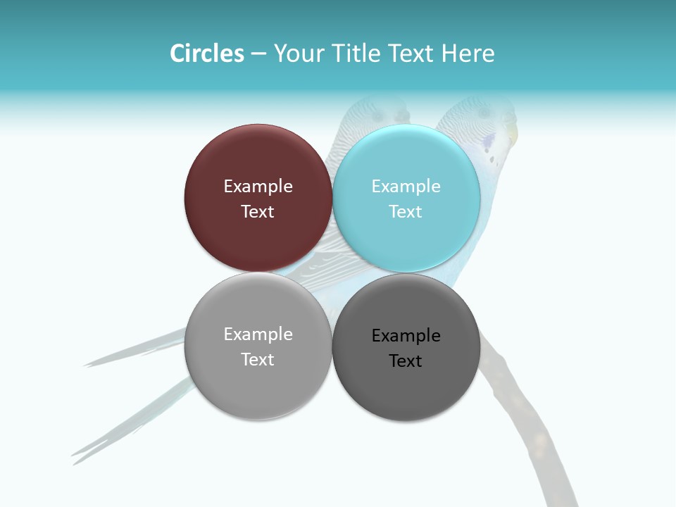 Wildlife Funny Zoo PowerPoint Template