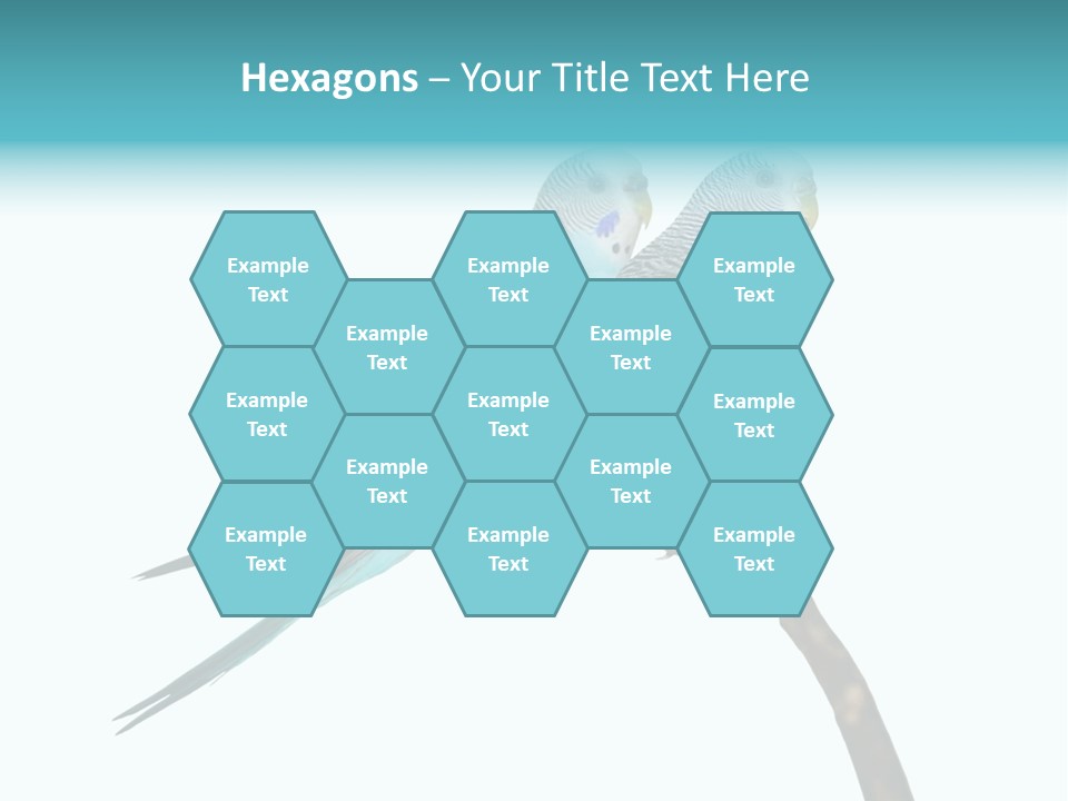 Wildlife Funny Zoo PowerPoint Template