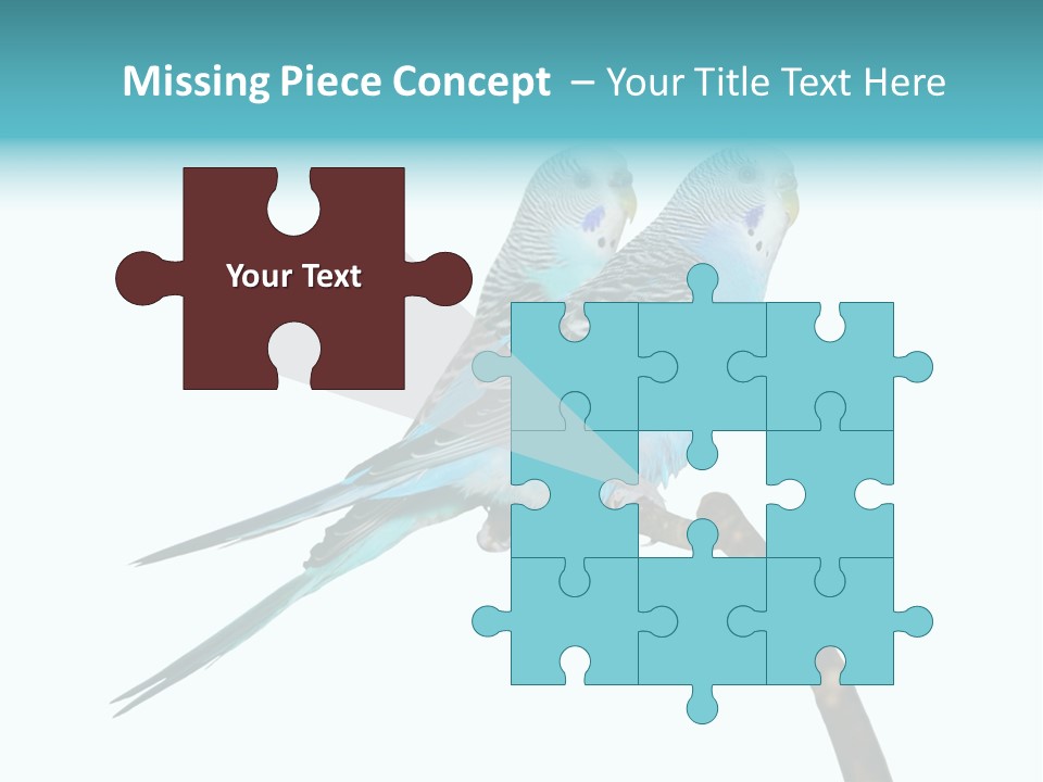 Wildlife Funny Zoo PowerPoint Template