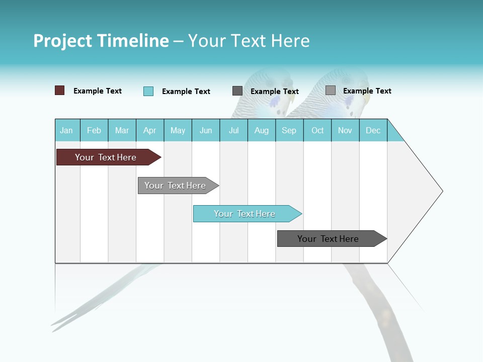 Wildlife Funny Zoo PowerPoint Template
