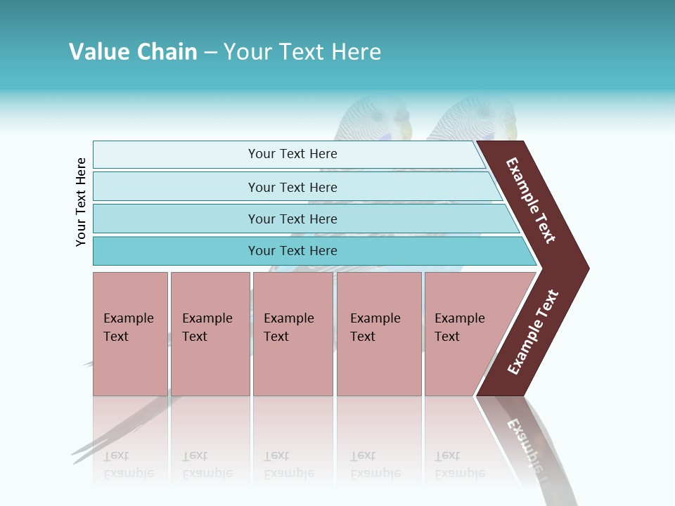 Wildlife Funny Zoo PowerPoint Template