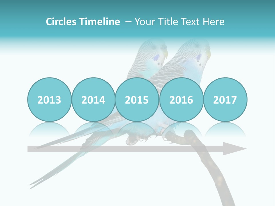 Wildlife Funny Zoo PowerPoint Template