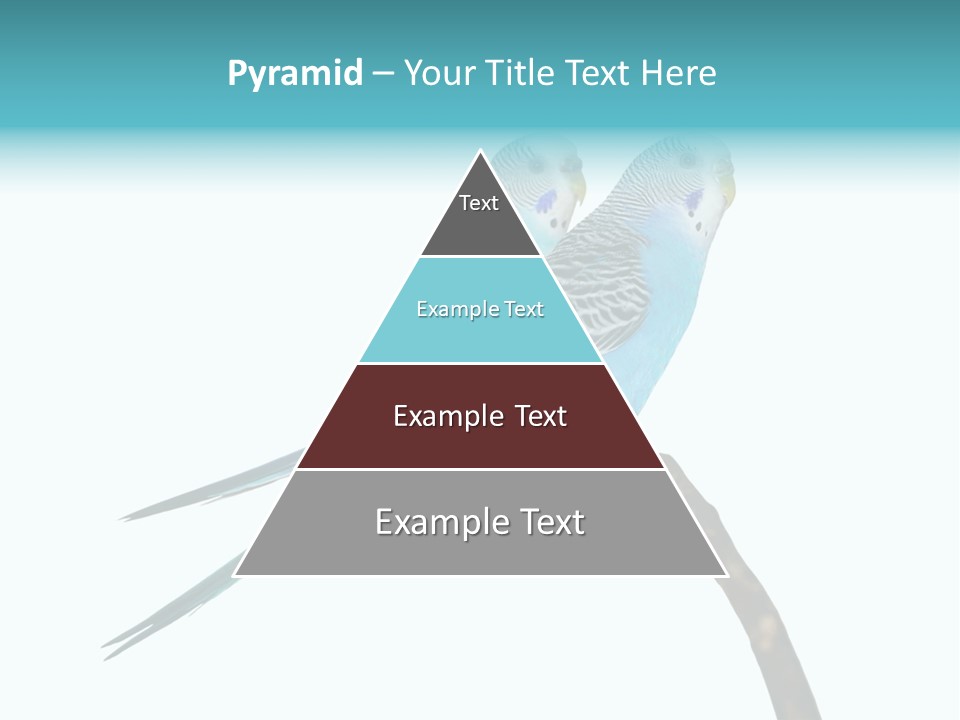 Wildlife Funny Zoo PowerPoint Template