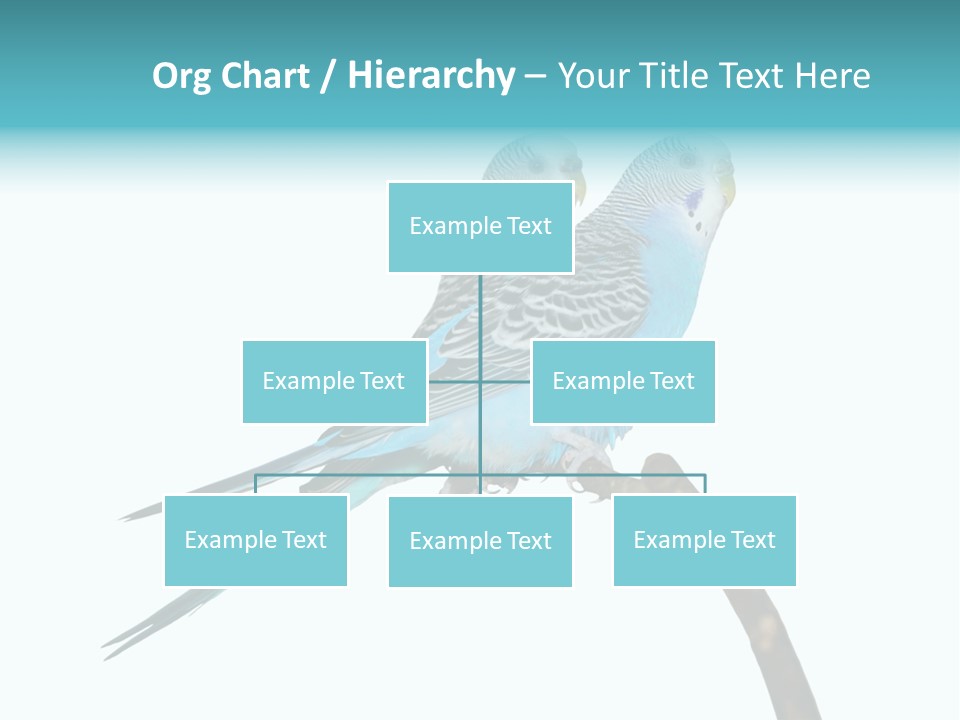 Wildlife Funny Zoo PowerPoint Template