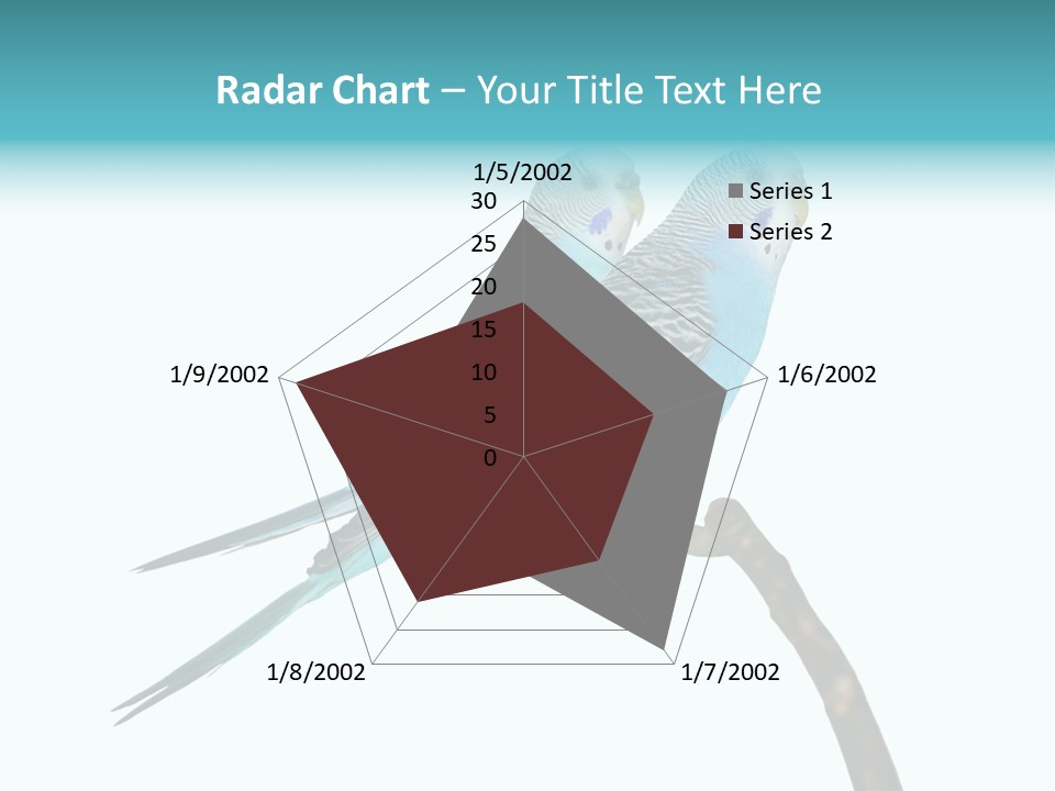 Wildlife Funny Zoo PowerPoint Template