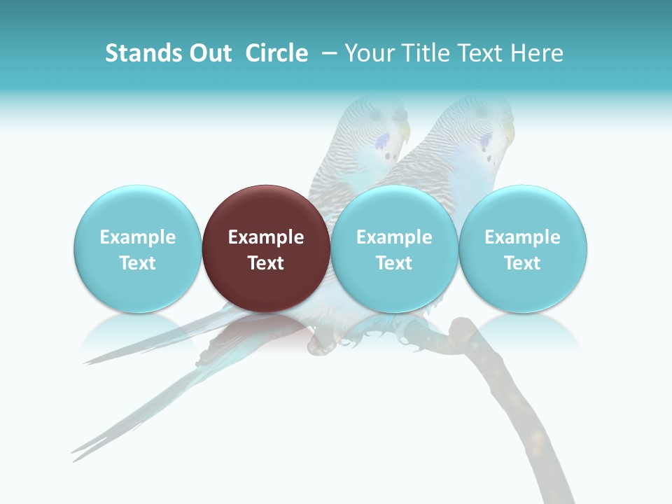 Wildlife Funny Zoo PowerPoint Template