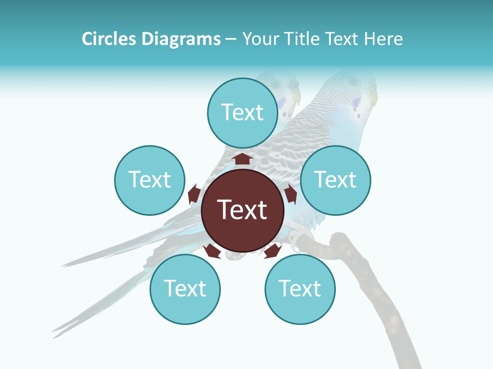 Wildlife Funny Zoo PowerPoint Template