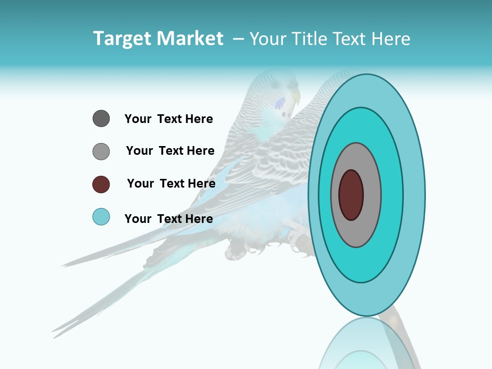 Wildlife Funny Zoo PowerPoint Template