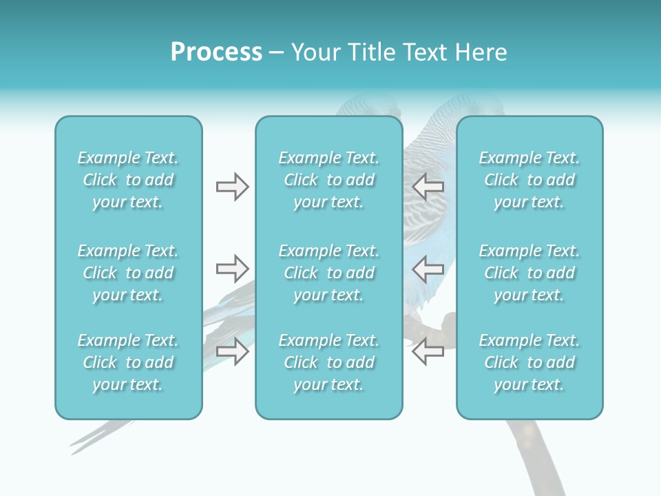 Wildlife Funny Zoo PowerPoint Template