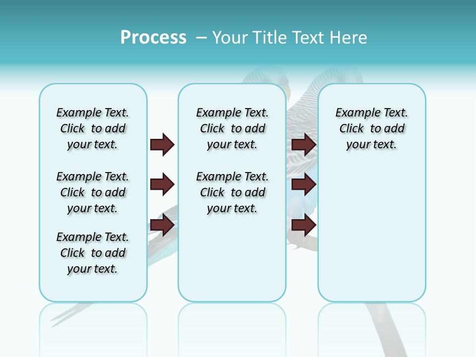 Wildlife Funny Zoo PowerPoint Template