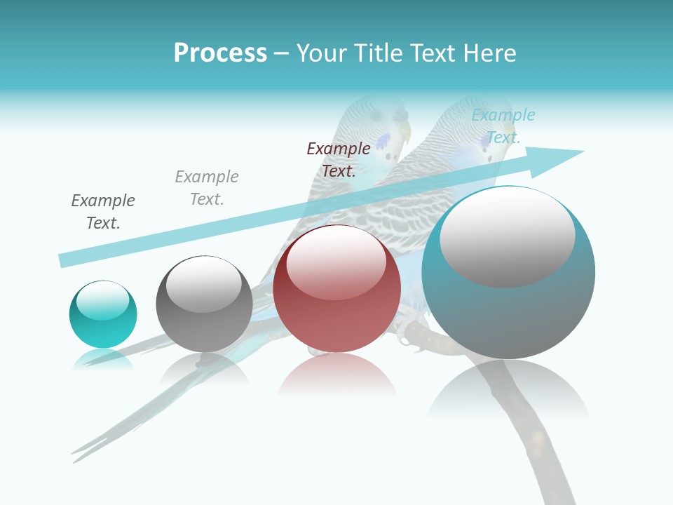 Wildlife Funny Zoo PowerPoint Template