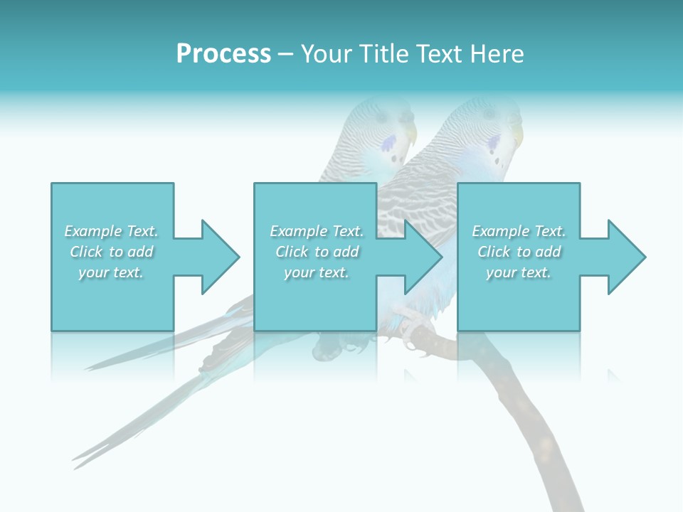 Wildlife Funny Zoo PowerPoint Template