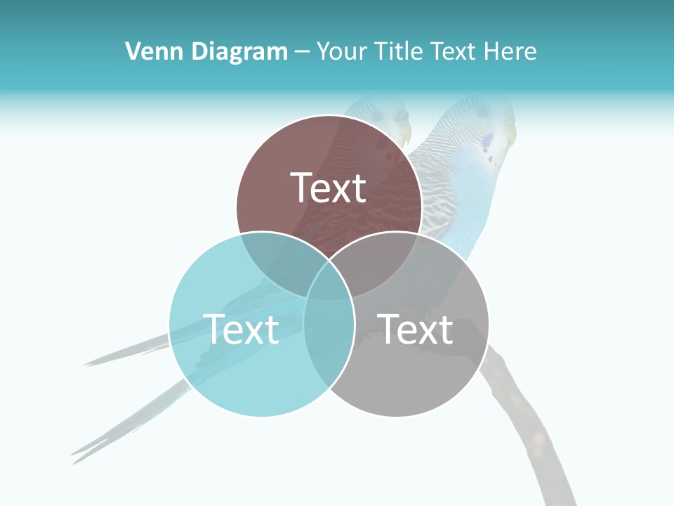 Wildlife Funny Zoo PowerPoint Template