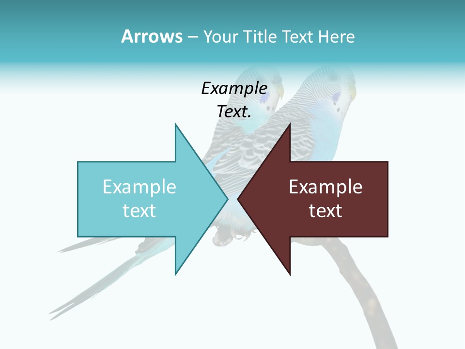 Wildlife Funny Zoo PowerPoint Template