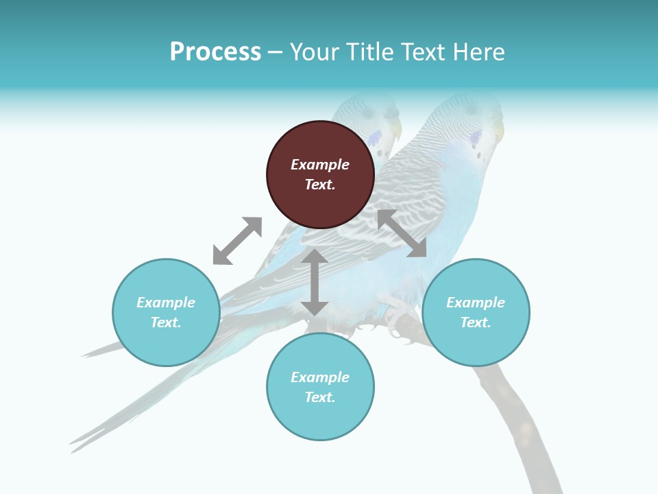 Wildlife Funny Zoo PowerPoint Template