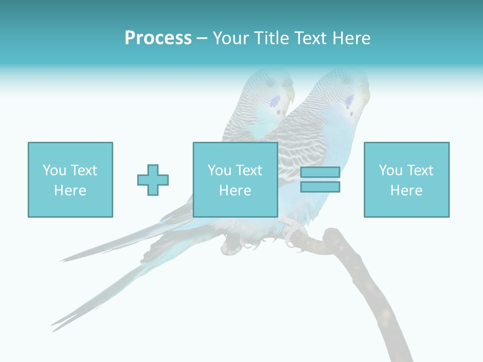 Wildlife Funny Zoo PowerPoint Template