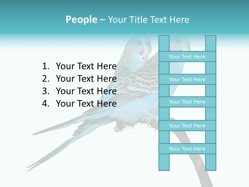 Wildlife Funny Zoo PowerPoint Template