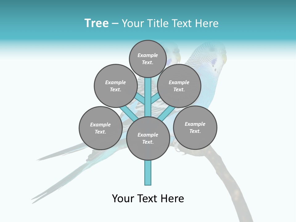 Wildlife Funny Zoo PowerPoint Template