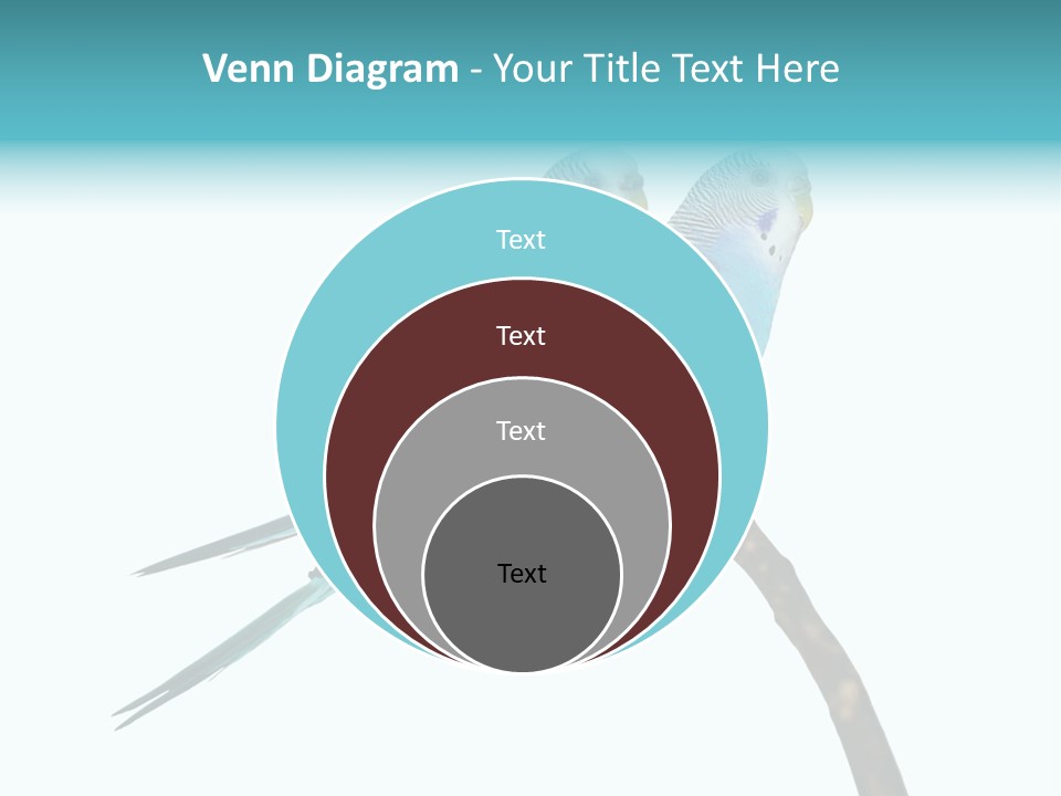 Wildlife Funny Zoo PowerPoint Template