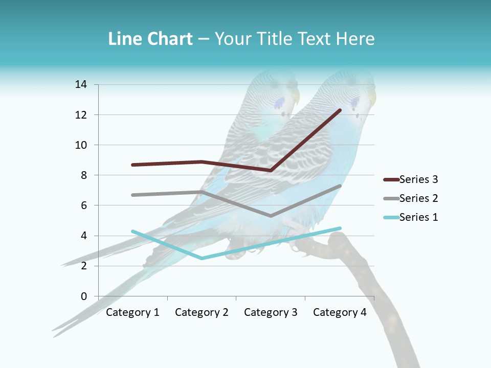 Wildlife Funny Zoo PowerPoint Template