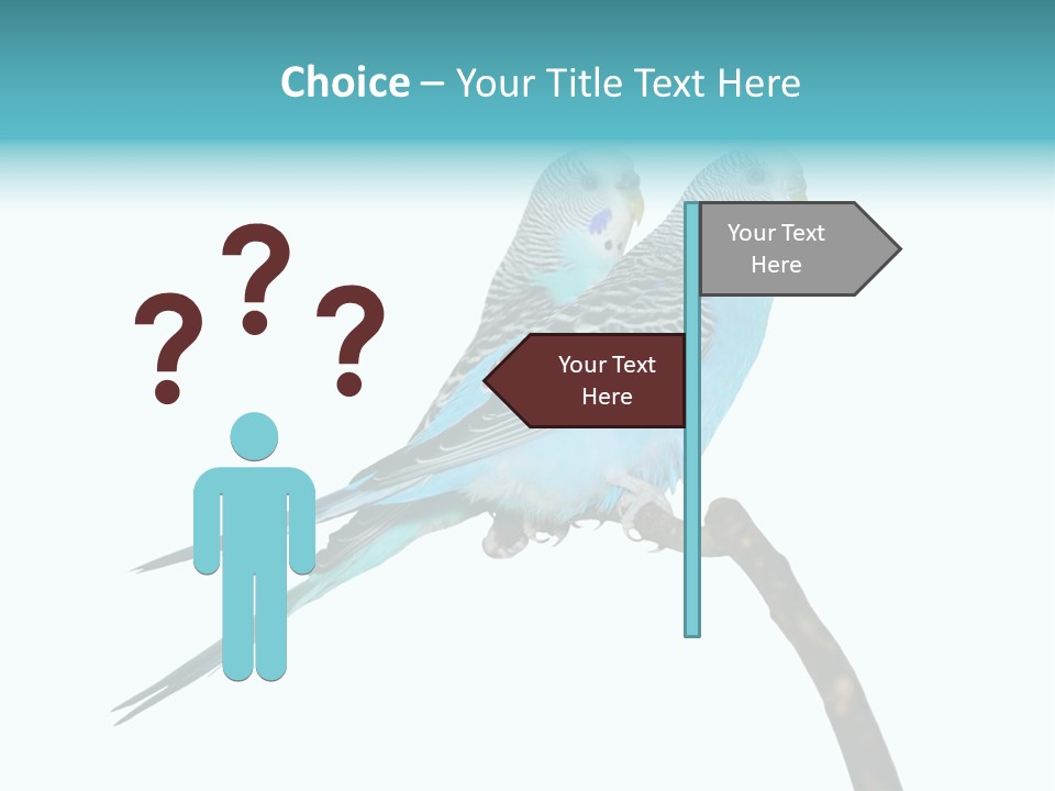 Wildlife Funny Zoo PowerPoint Template