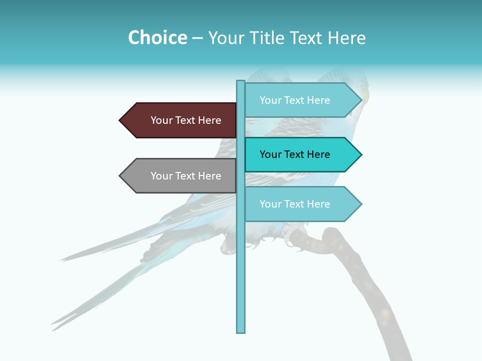 Wildlife Funny Zoo PowerPoint Template