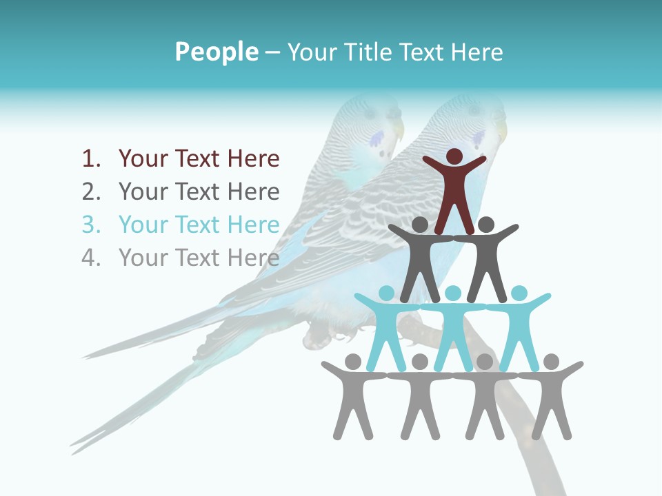 Wildlife Funny Zoo PowerPoint Template