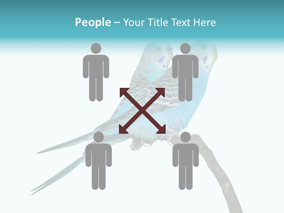 Wildlife Funny Zoo PowerPoint Template