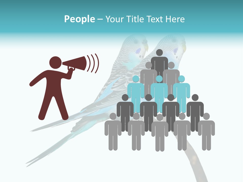 Wildlife Funny Zoo PowerPoint Template