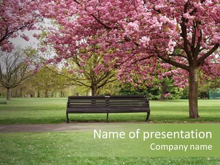 Foliage London Branches PowerPoint Template