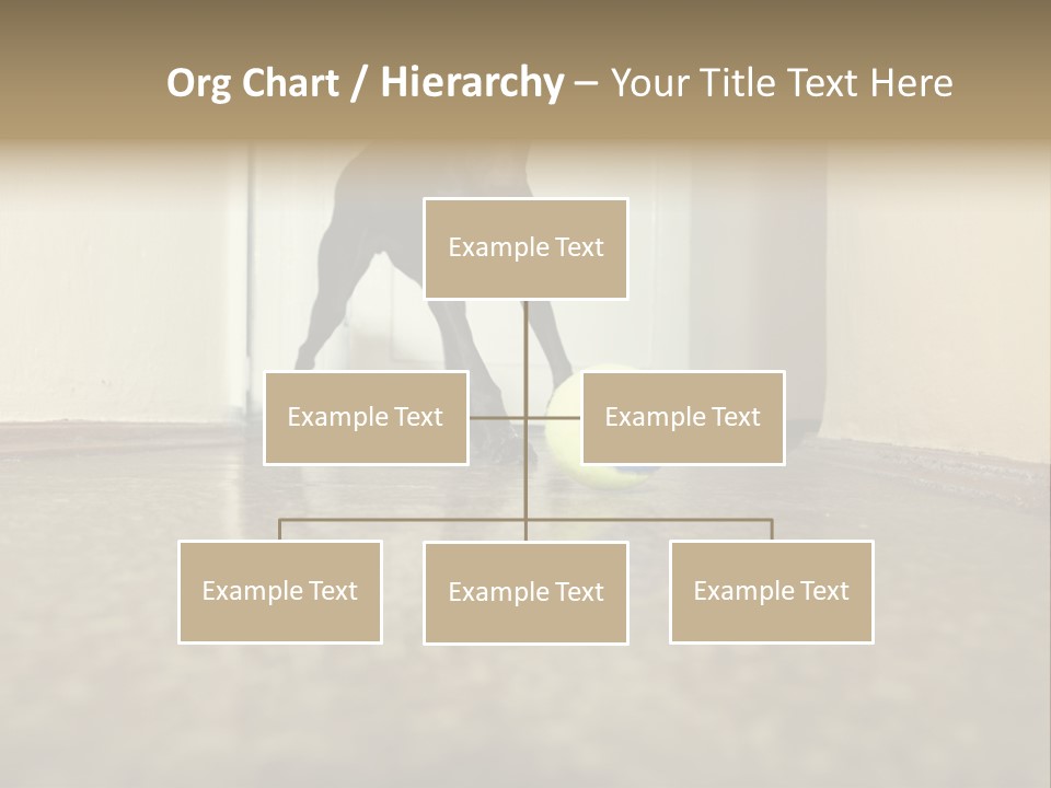 Motion Speed Cute PowerPoint Template