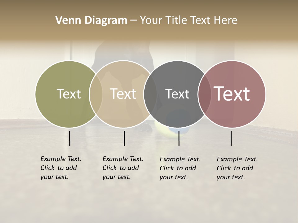 Motion Speed Cute PowerPoint Template