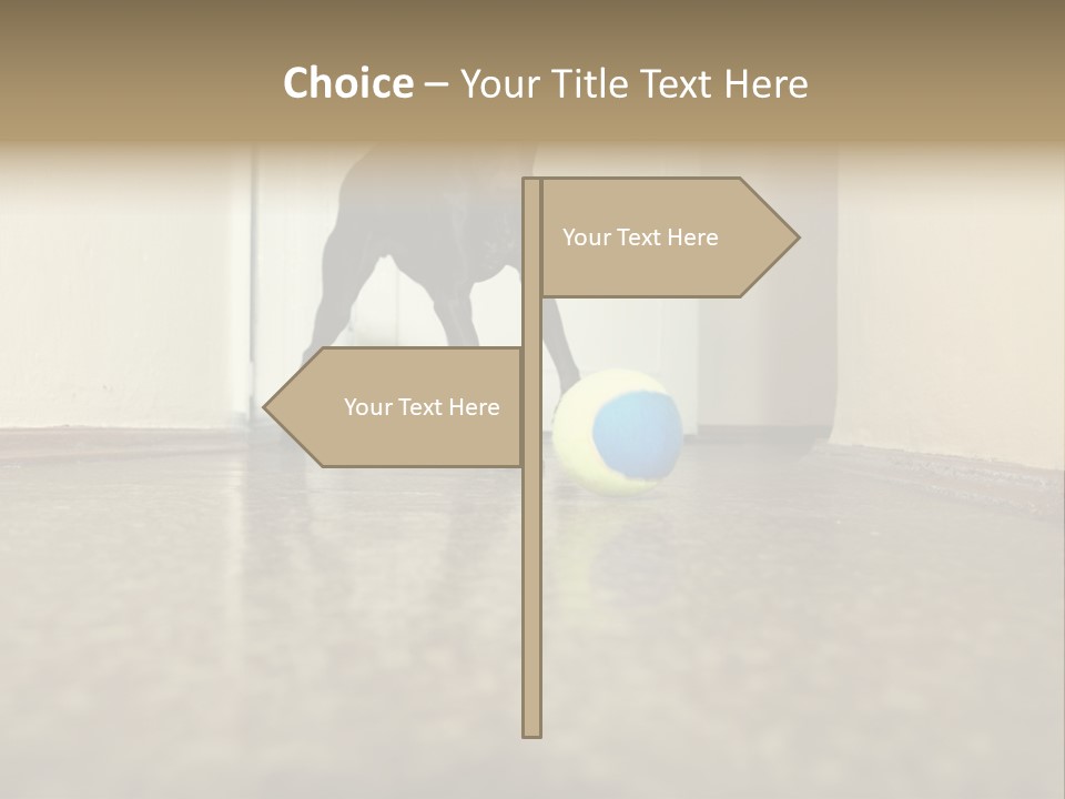 Motion Speed Cute PowerPoint Template