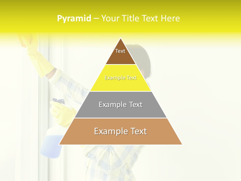 Person Disinfectant Domestic PowerPoint Template