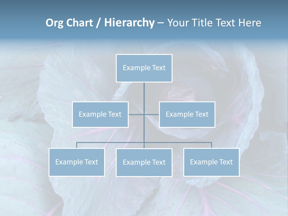 Building Apple New PowerPoint Template