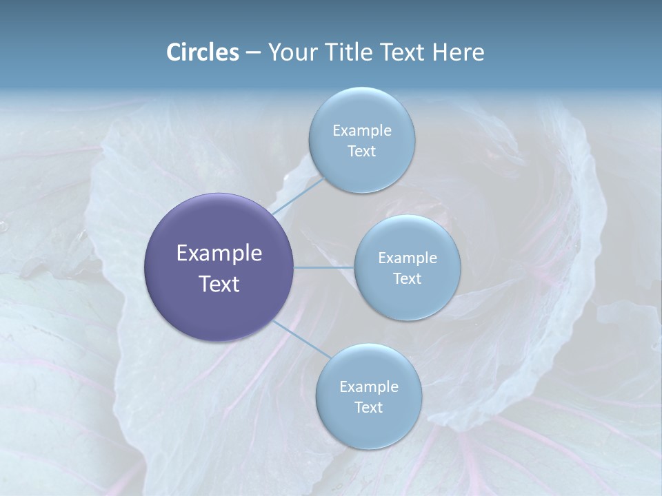 Building Apple New PowerPoint Template