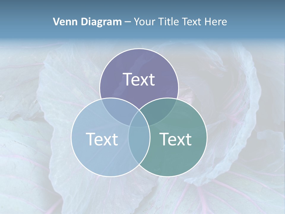 Building Apple New PowerPoint Template