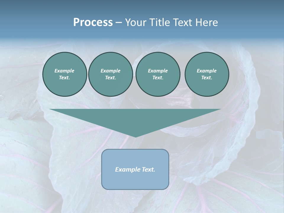 Building Apple New PowerPoint Template