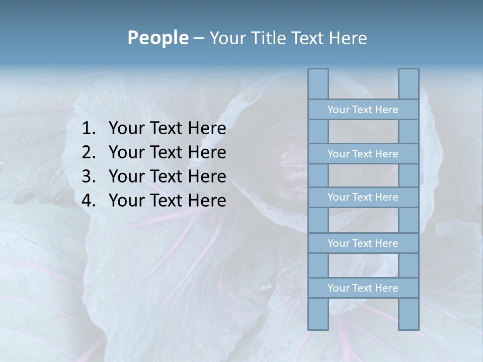 Building Apple New PowerPoint Template