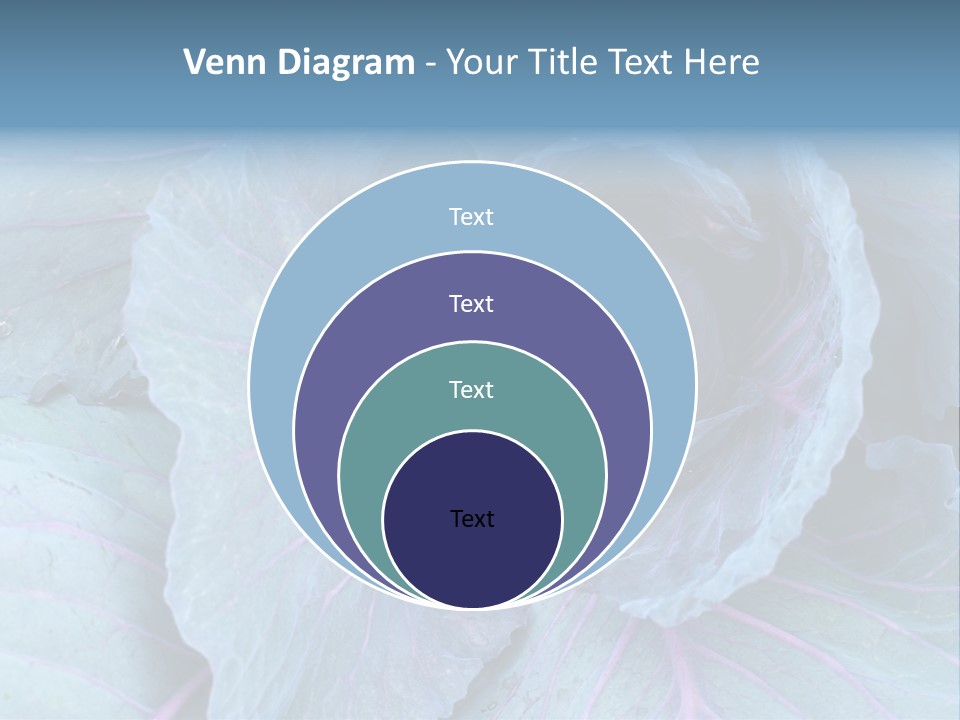Building Apple New PowerPoint Template