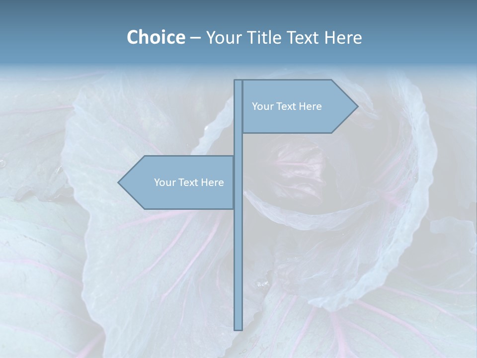 Building Apple New PowerPoint Template