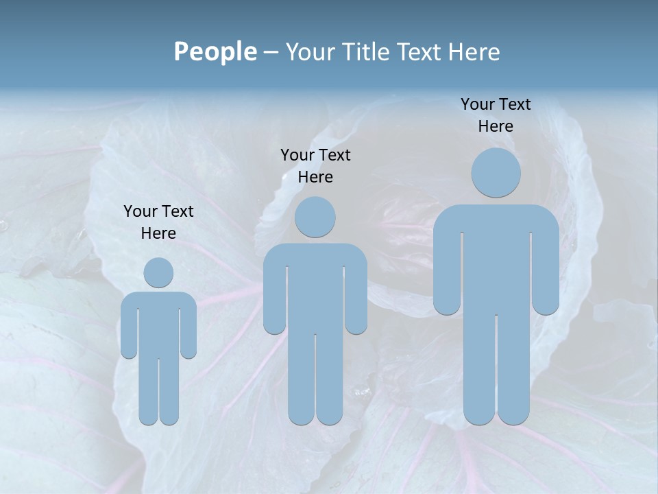 Building Apple New PowerPoint Template