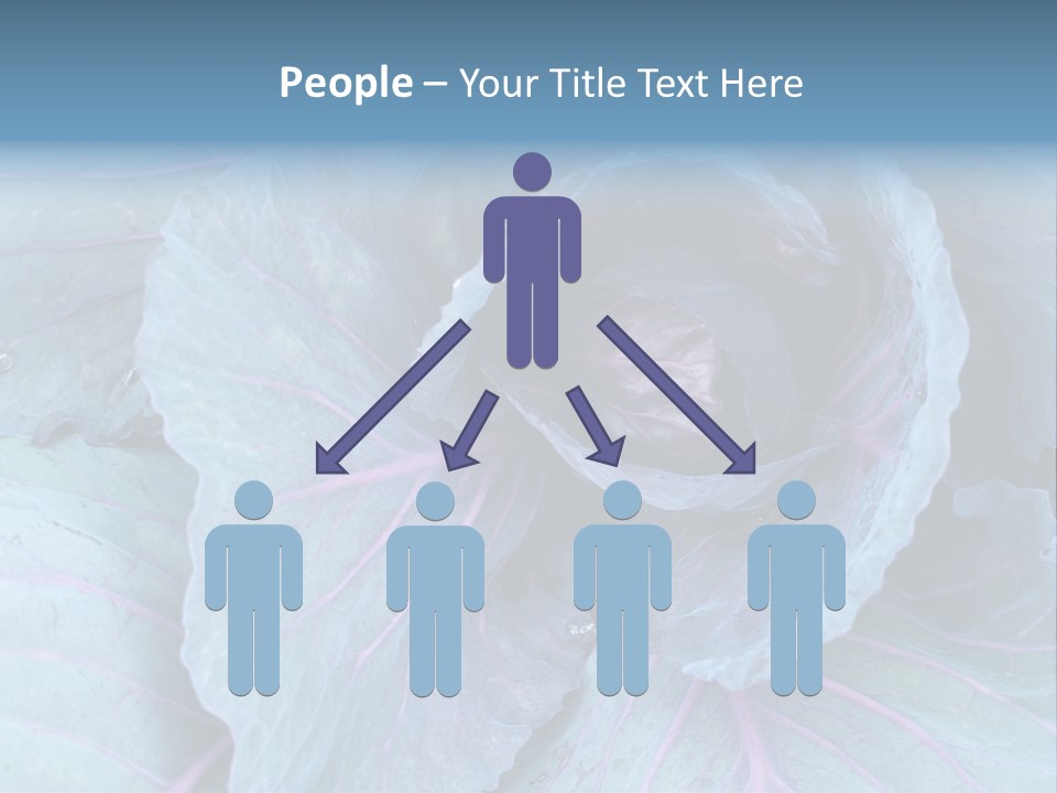 Building Apple New PowerPoint Template