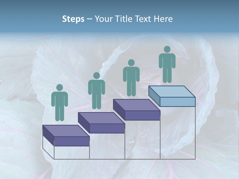 Building Apple New PowerPoint Template